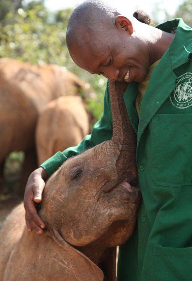 daily picdump 95 pics 38.html - 95 HD Photos | Premium Gallery 2018