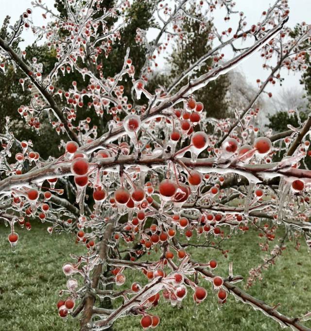 daily picdump 95 pics 38.html - 95 HD Photos | Premium Gallery 2018