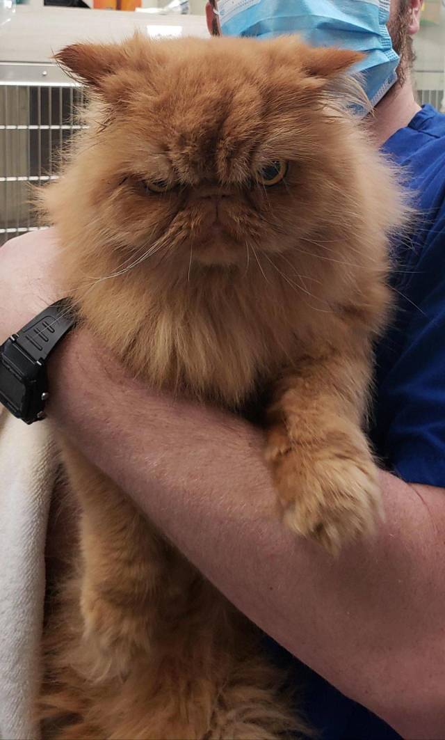 daily picdump 95 pics 38.html - 95 HD Photos | Premium Gallery 2018