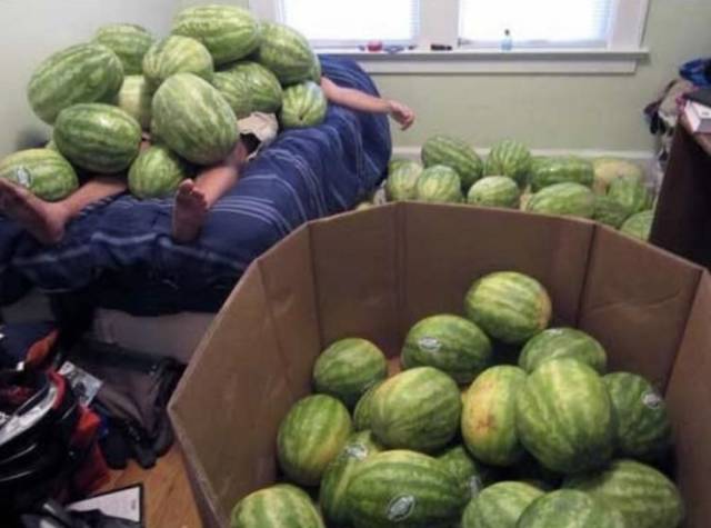 Hard-to-explain WTF Photos