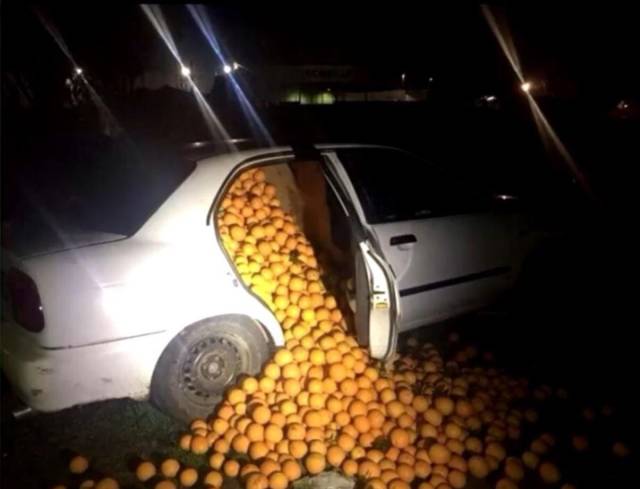 Hard-to-explain WTF Photos