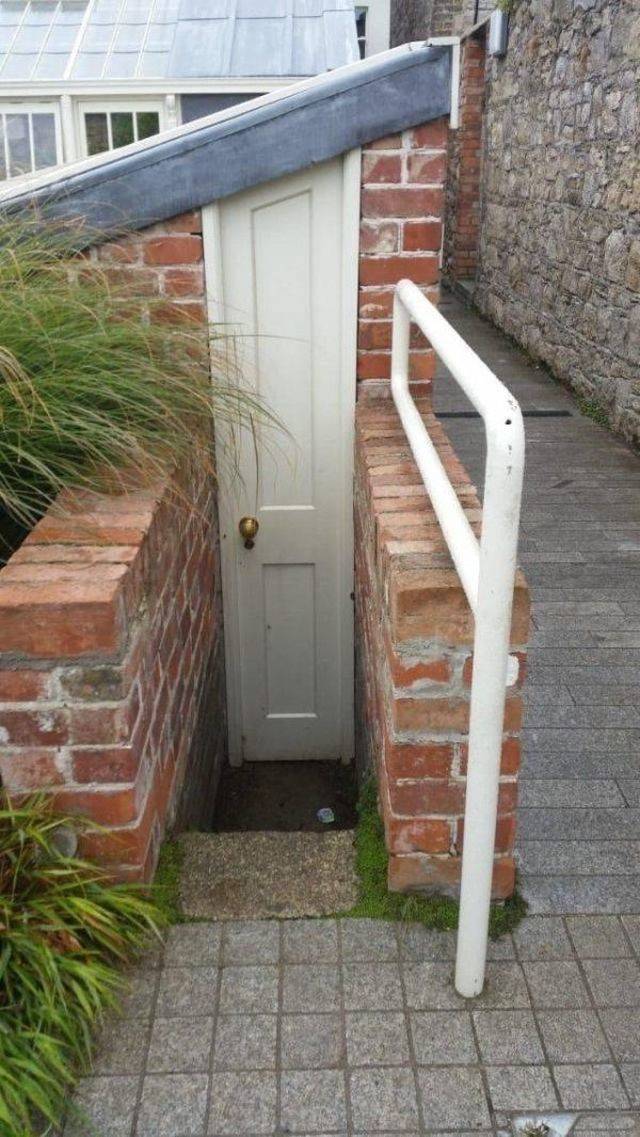 Hard-to-explain WTF Photos