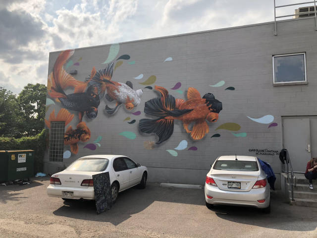 morning picdump 50 pics 2.html - 50 HD Photos | Premium Gallery 2018