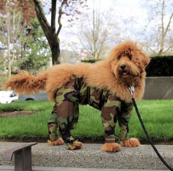 morning picdump 50 pics 2.html - 50 HD Photos | Premium Gallery 2018