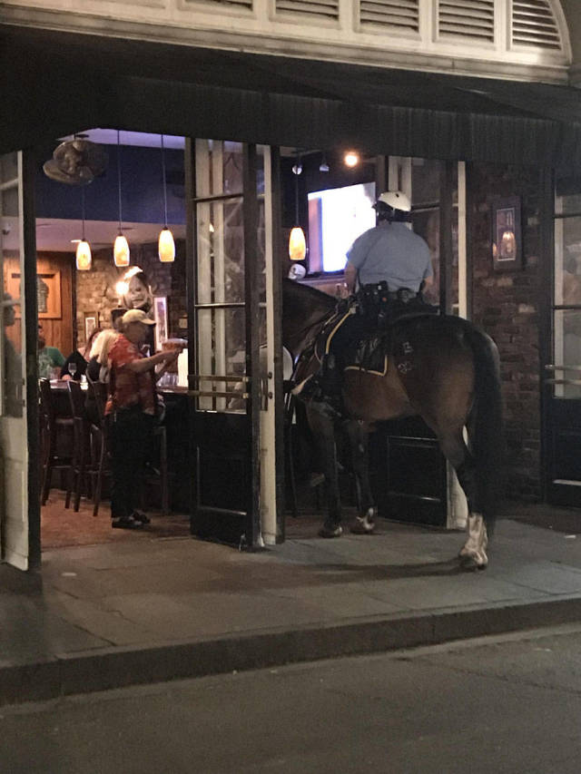 morning picdump 50 pics 2.html - 50 HD Photos | Premium Gallery 2018