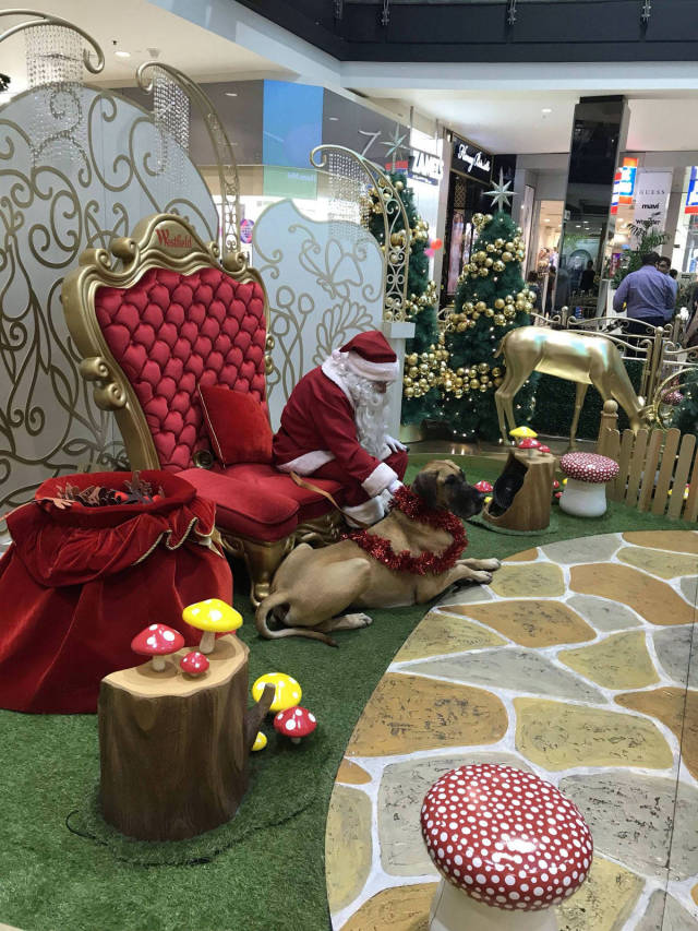 morning picdump 50 pics 2.html - 50 HD Photos | Premium Gallery 2018