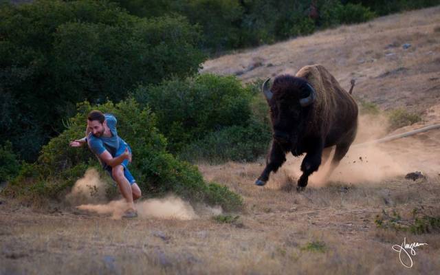 daily picdump 97 pics 2.html - 97 HD Photos | Premium Gallery 2018