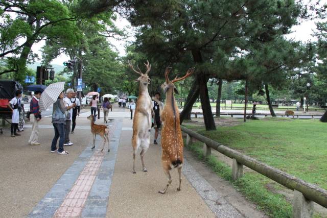 daily picdump 97 pics 2.html - 97 HD Photos | Premium Gallery 2018