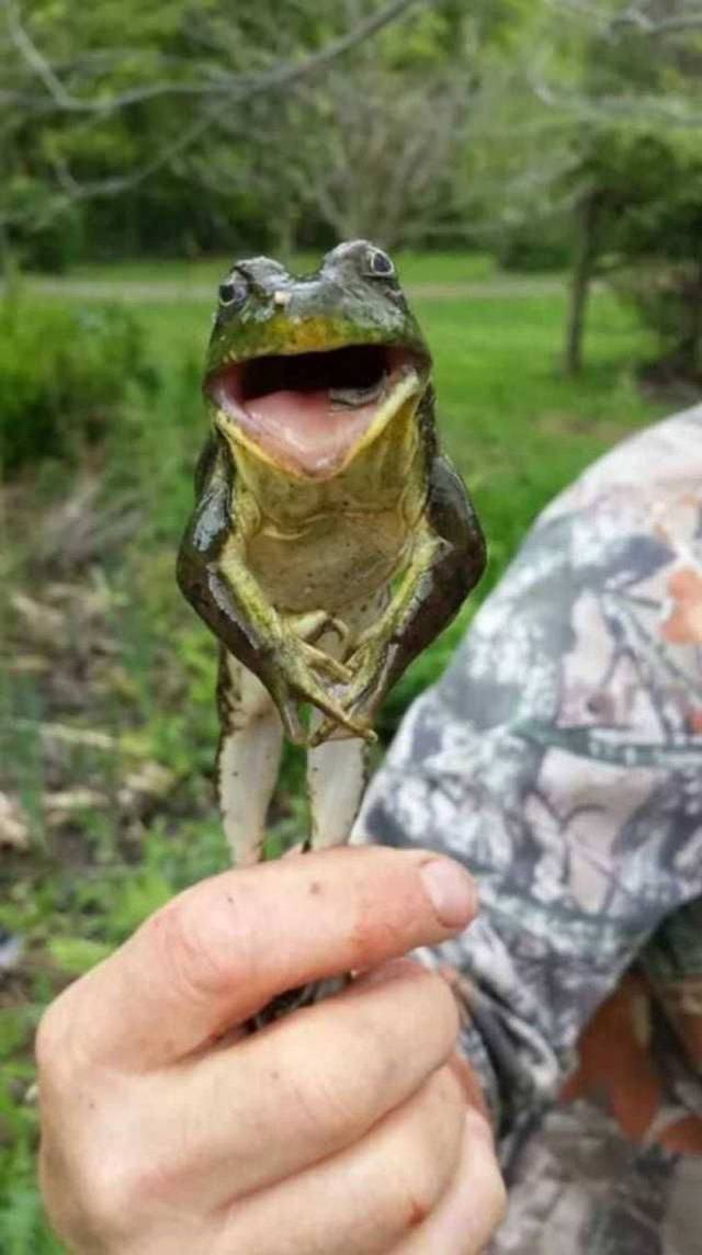 daily picdump 97 pics 2.html - 97 HD Photos | Premium Gallery 2018