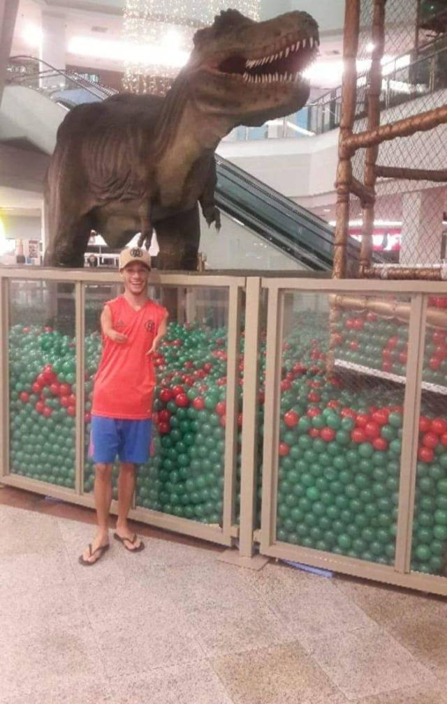 daily picdump 97 pics 2.html - 97 HD Photos | Premium Gallery 2018