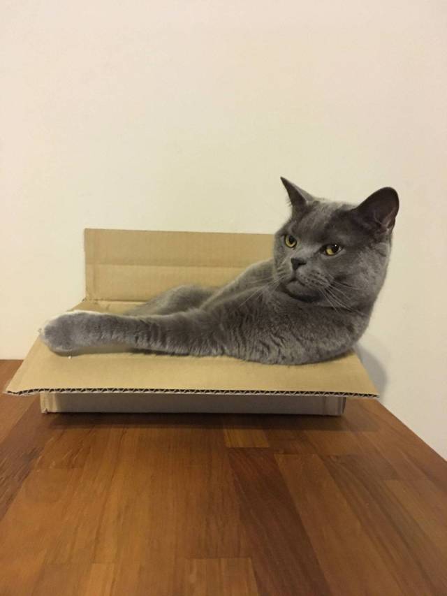 daily picdump 97 pics 2.html - 97 HD Photos | Premium Gallery 2018