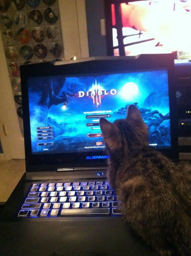 daily picdump 97 pics 2.html - 97 HD Photos | Premium Gallery 2018