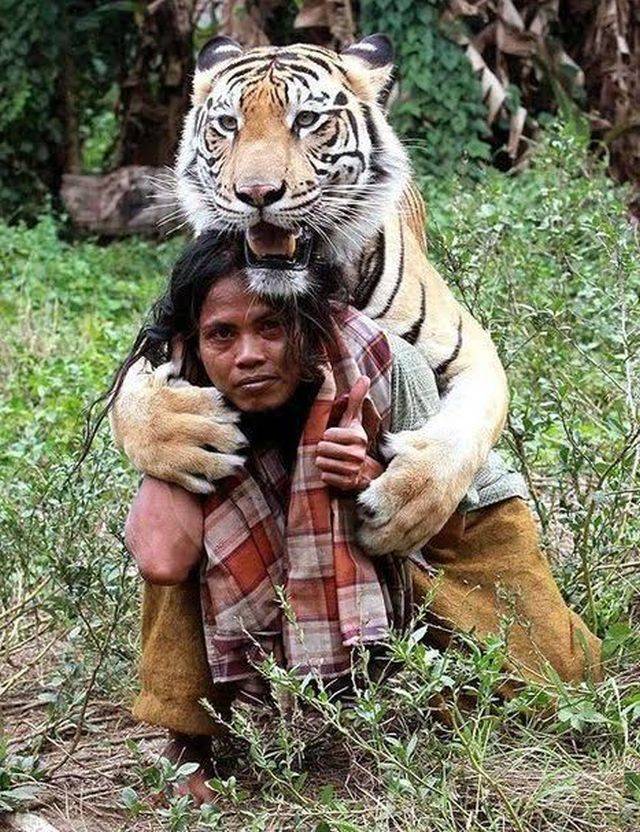 daily picdump 97 pics 2.html - 97 HD Photos | Premium Gallery 2018