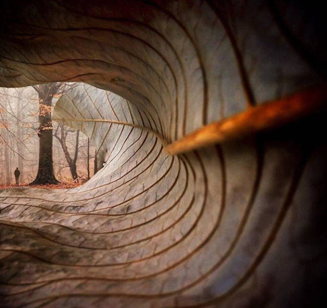 morning picdump 52 pics 2.html - 52 HD Photos | Premium Gallery 2018