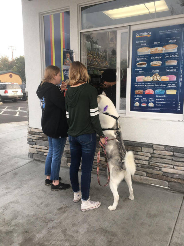 morning picdump 52 pics 2.html - 52 HD Photos | Premium Gallery 2018