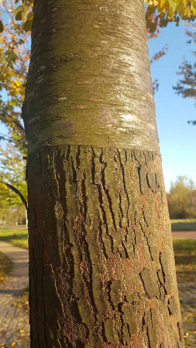 morning picdump 52 pics 2.html - 52 HD Photos | Premium Gallery 2018