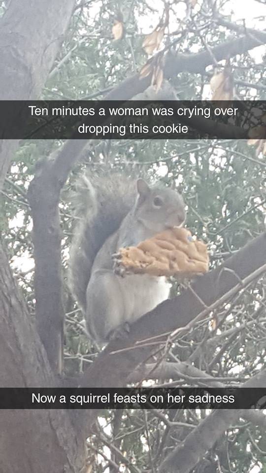 morning picdump 52 pics 2.html - 52 HD Photos | Premium Gallery 2018