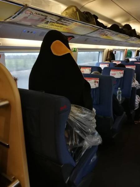 Daily Picdump [WEEKEND EDITION]