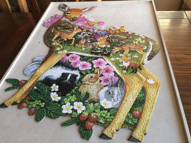 daily picdump weekend edition 50 pics 9.html - 50 HD Photos | Premium Gallery 2018