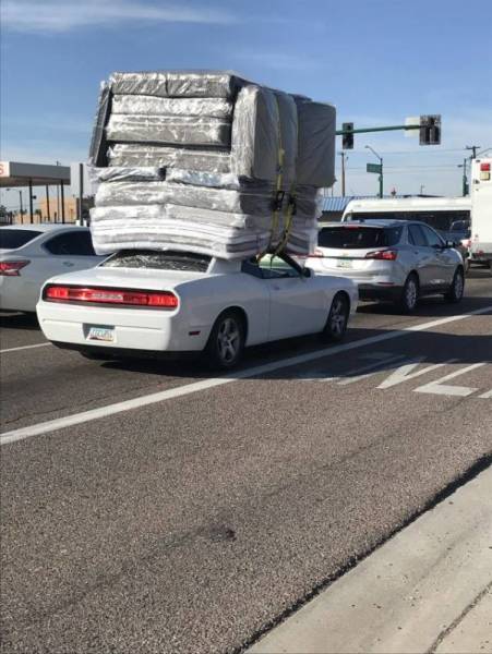 daily picdump weekend edition 50 pics 9.html - 50 HD Photos | Premium Gallery 2018