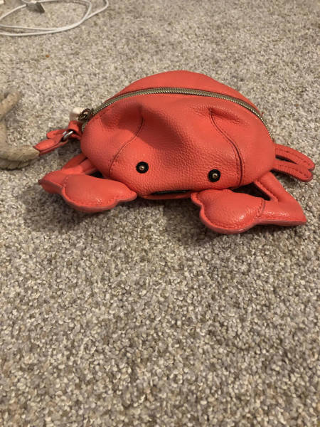 daily picdump weekend edition 50 pics 9.html - 50 HD Photos | Premium Gallery 2018