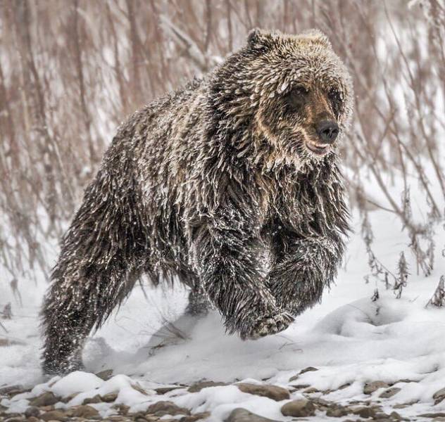 daily picdump weekend edition 50 pics 9.html - 50 HD Photos | Premium Gallery 2018