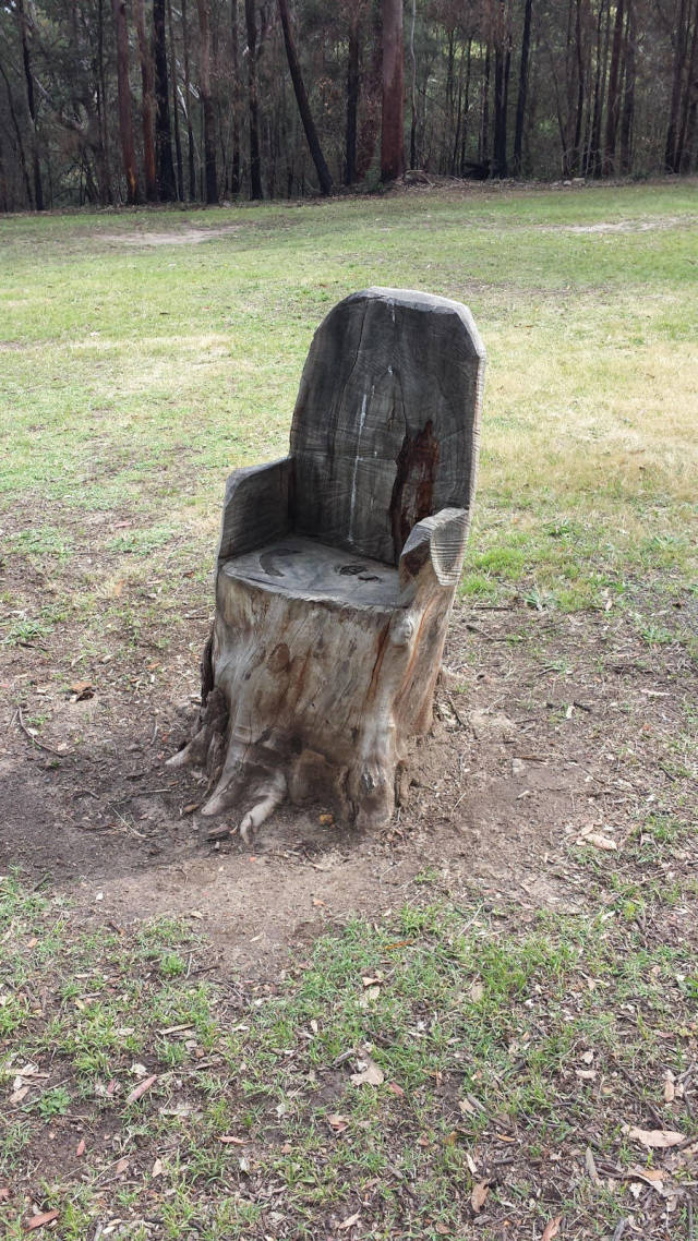 Daily Picdump [WEEKEND EDITION]