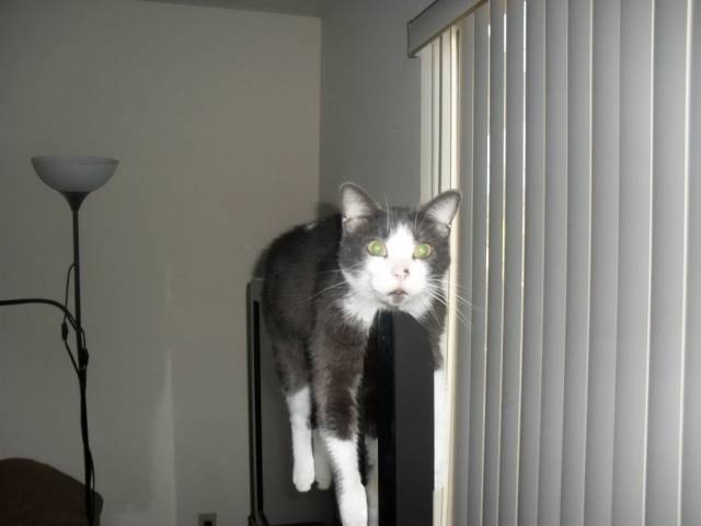 daily picdump 102 pics 2.html - 102 HD Photos | Premium Gallery 2018