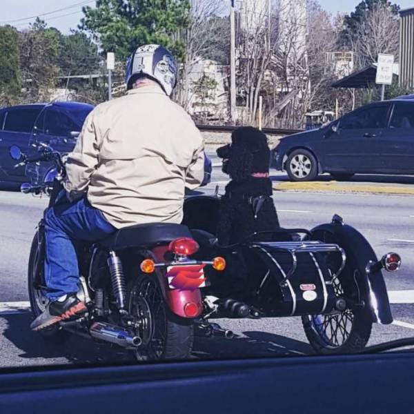 daily picdump 102 pics 2.html - 102 HD Photos | Premium Gallery 2018