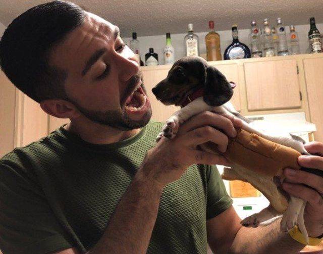 daily picdump 102 pics 2.html - 102 HD Photos | Premium Gallery 2018