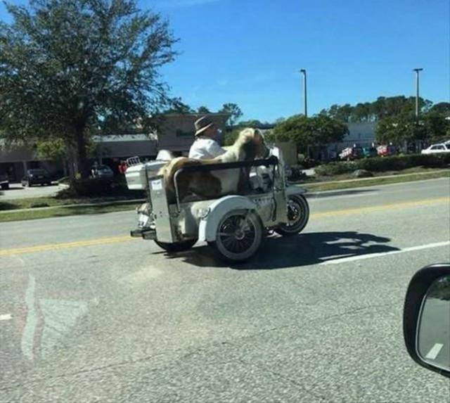 daily picdump 102 pics 2.html - 102 HD Photos | Premium Gallery 2018