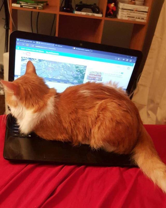 daily picdump 102 pics 2.html - 102 HD Photos | Premium Gallery 2018