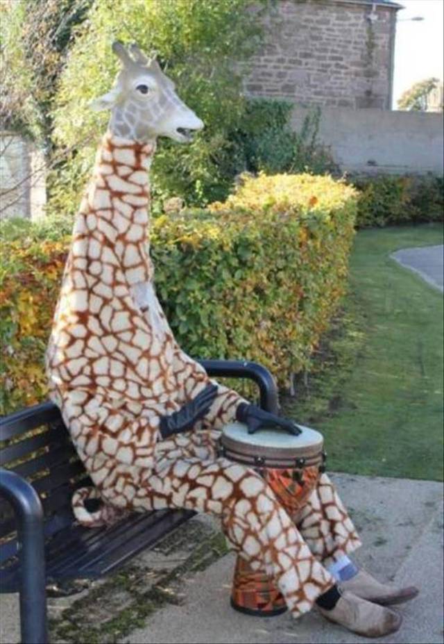 daily picdump 102 pics 2.html - 102 HD Photos | Premium Gallery 2018