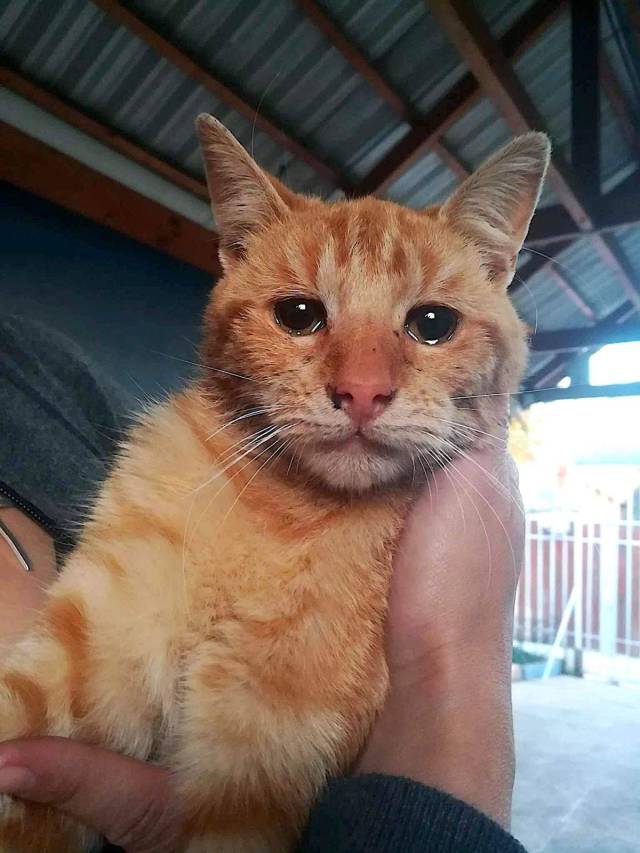 daily picdump 102 pics 2.html - 102 HD Photos | Premium Gallery 2018