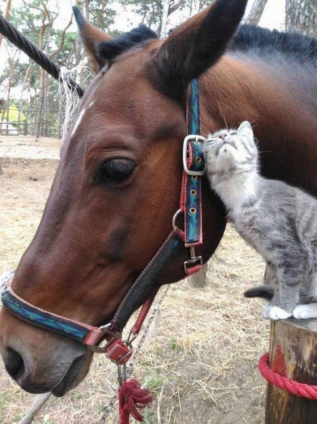 daily picdump 102 pics 2.html - 102 HD Photos | Premium Gallery 2018