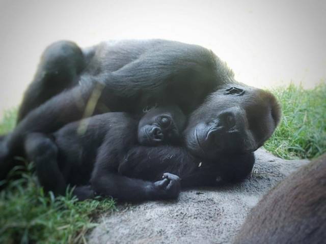 daily picdump 96 pics 2.html - 96 HD Photos | Premium Gallery 2018