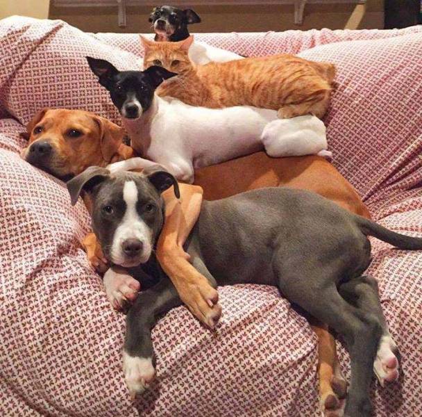 daily picdump 96 pics 2.html - 96 HD Photos | Premium Gallery 2018