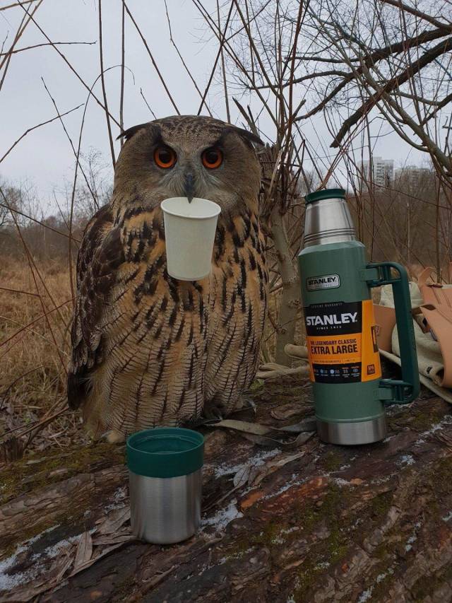 daily picdump 96 pics 2.html - 96 HD Photos | Premium Gallery 2018