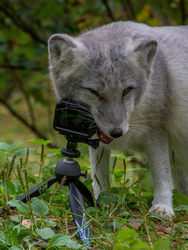 daily picdump 96 pics 2.html - 96 HD Photos | Premium Gallery 2018