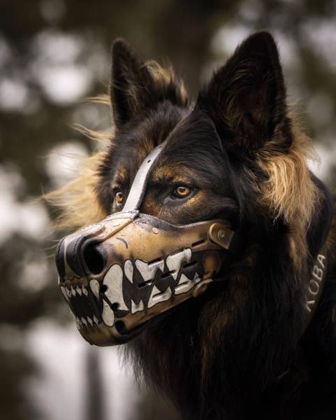 morning picdump 51 pics 34.html - 51 HD Photos | Premium Gallery 2018