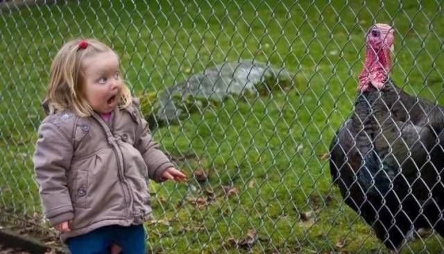 daily picdump 100 pics 3.html - 100 HD Photos | Premium Gallery 2018