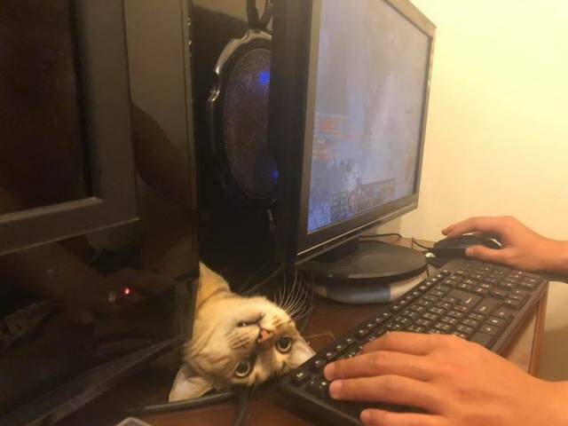 daily picdump 100 pics 3.html - 100 HD Photos | Premium Gallery 2018