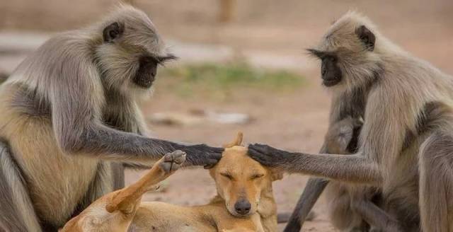 daily picdump 100 pics 3.html - 100 HD Photos | Premium Gallery 2018