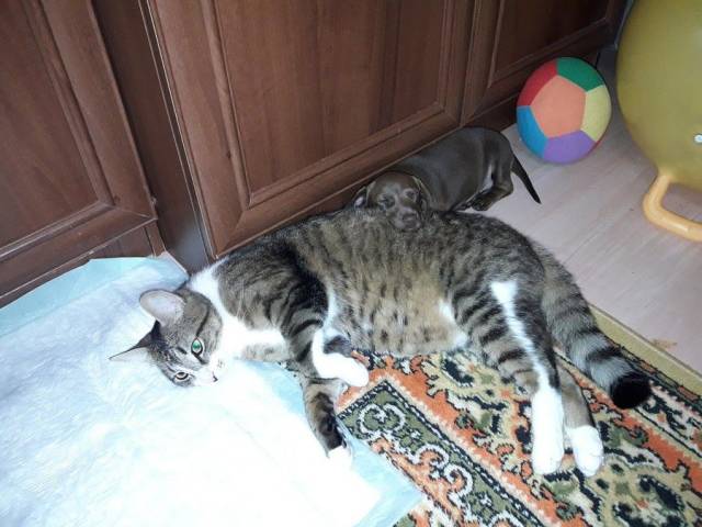 daily picdump 100 pics 3.html - 100 HD Photos | Premium Gallery 2018