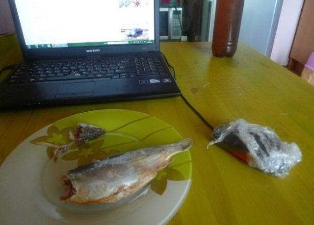 daily picdump 100 pics 3.html - 100 HD Photos | Premium Gallery 2018