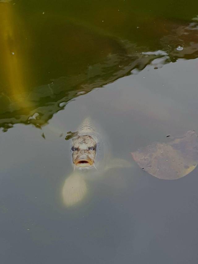 daily picdump 100 pics 3.html - 100 HD Photos | Premium Gallery 2018