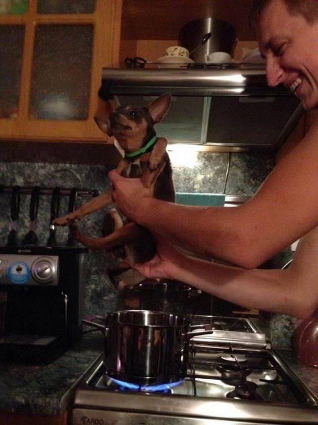 daily picdump 100 pics 3.html - 100 HD Photos | Premium Gallery 2018