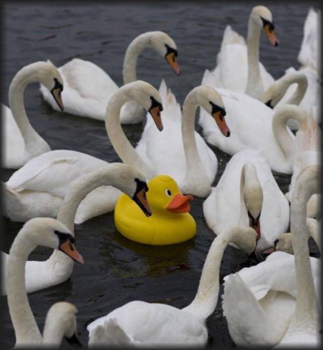 daily picdump 100 pics 3.html - 100 HD Photos | Premium Gallery 2018