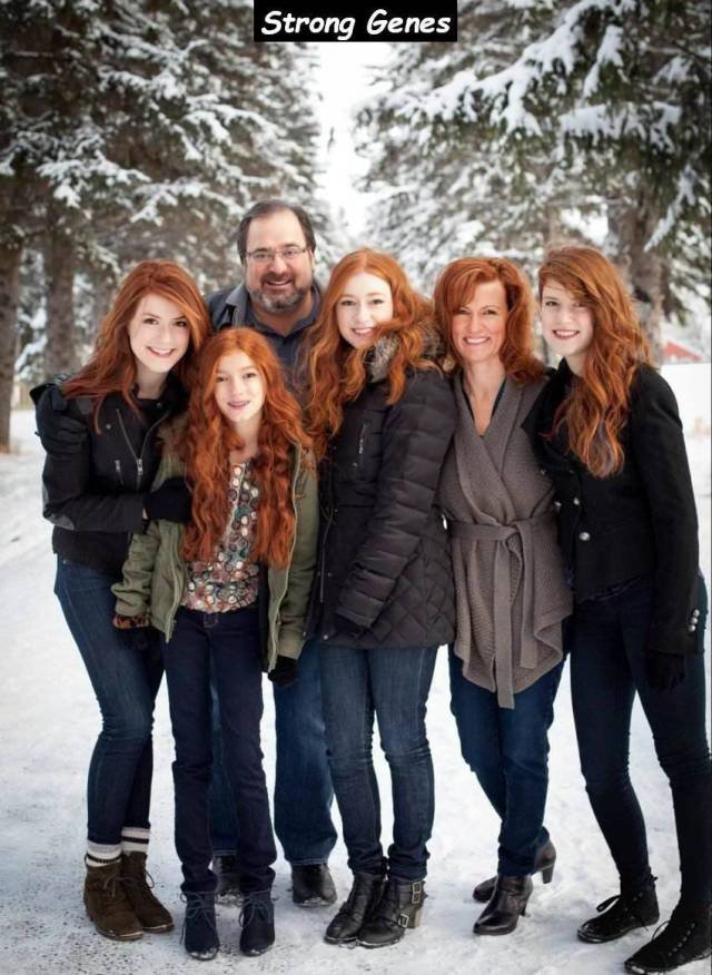 daily picdump 100 pics 3.html - 100 HD Photos | Premium Gallery 2018