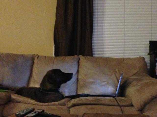 morning picdump 53 pics 9.html - 53 HD Photos | Premium Gallery 2018